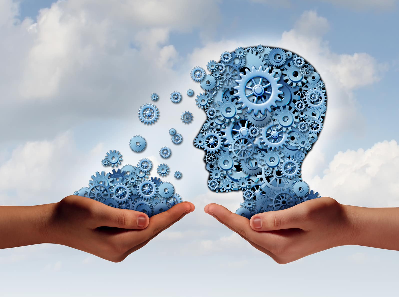 L’art d’apprendre